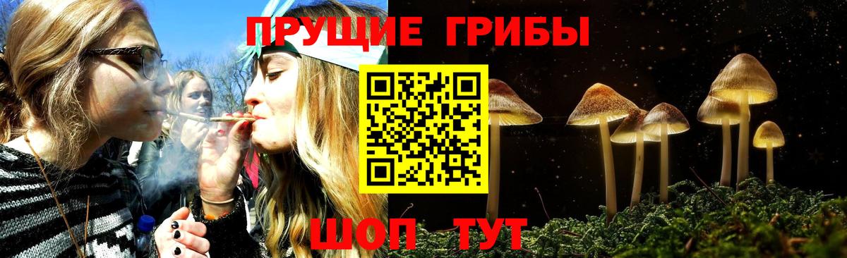 Галлюциногенные грибы Psilocybine cubensis  Вход с VPN  Джанкой 